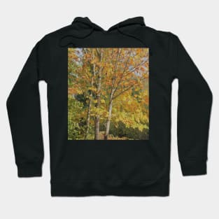 Maple Tree Hoodie